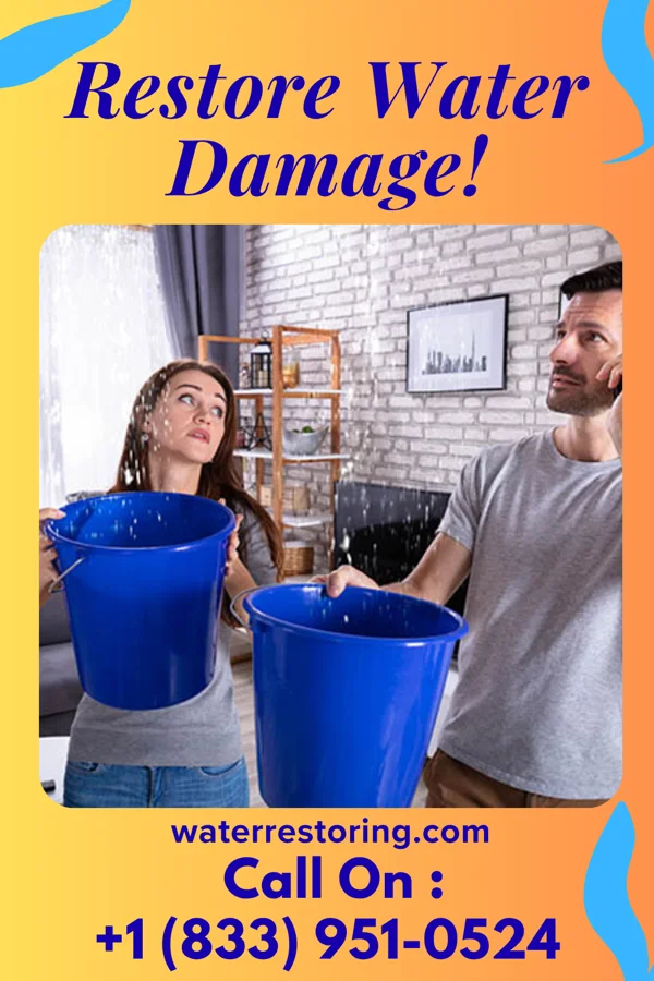 water restoration Expert Water Removal Group Max
